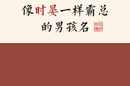 2019年3月30号酉时出生的男孩起名方法姓名