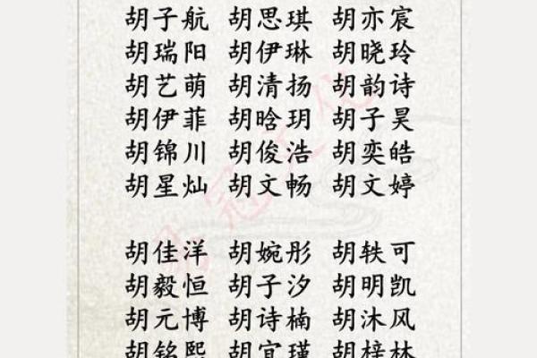 胡姓女孩名字大全-胡姓女孩起名字大全-胡姓名字大全姓名