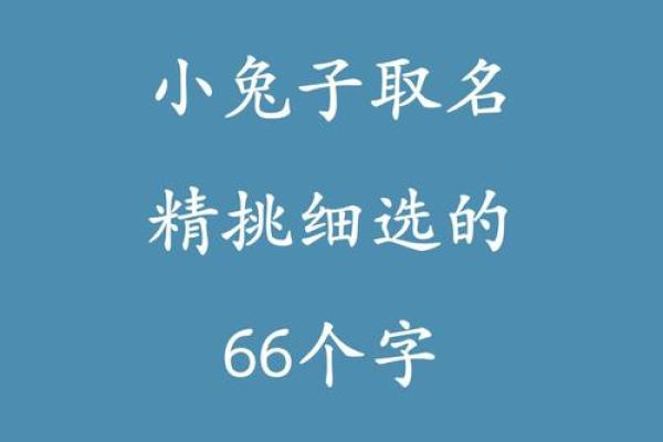 2月份出生的属兔女孩起什么名字好姓名