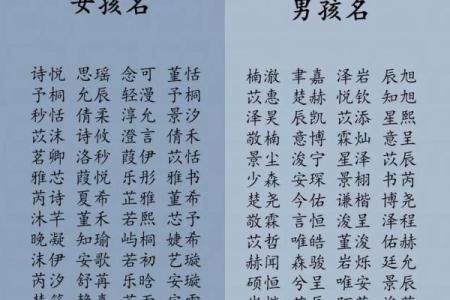 2019年3月22号未时出生的男孩应该起什么样的名字姓名