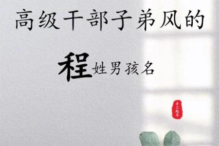 程姓男孩名字大全-程姓男孩起名字大全-程姓名字大全姓名