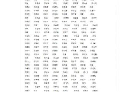 邴姓男孩名字大全-邴姓男孩起名字大全-邴姓名字大全姓名