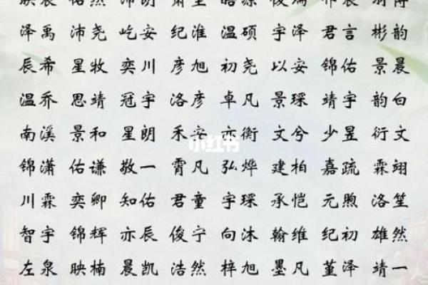 2019年3月31号亥时出生的男孩要怎么起名字姓名
