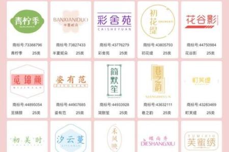 女装品牌名字大全-名字大全-姓名学-华易算命网姓名