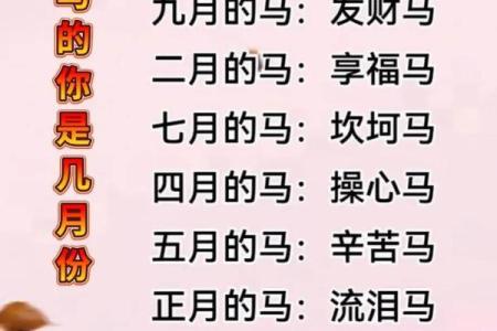 给四月份出生属马的男宝宝取什么名字好姓名