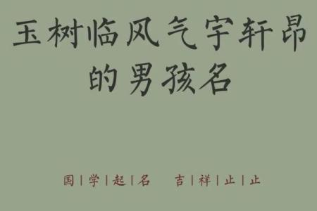 2019年5月8号寅时出生的男孩要怎么起名字姓名