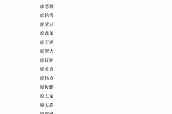 下午出生的属鼠男孩如何起名才合适姓名