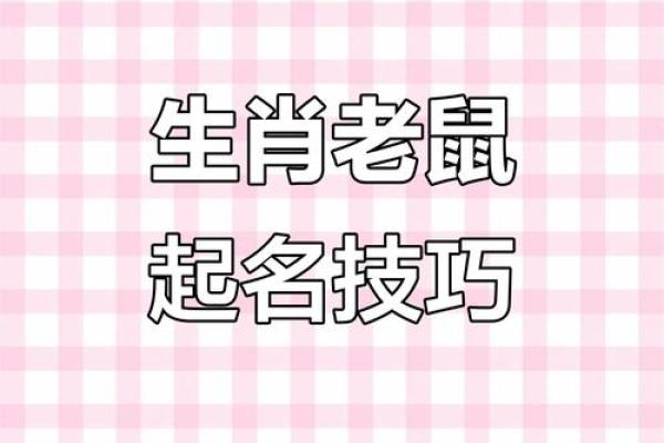 下午出生的属鼠男孩如何起名才合适姓名
