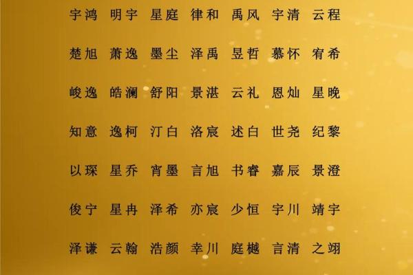 属龙酉时出生的男孩要什么名字好，适合什么字姓名