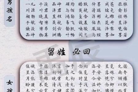 2019年5月4号卯时出生的男孩如何起名姓名