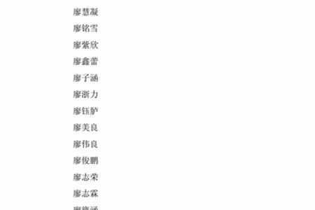 下午出生的属鼠男孩如何起名才合适姓名