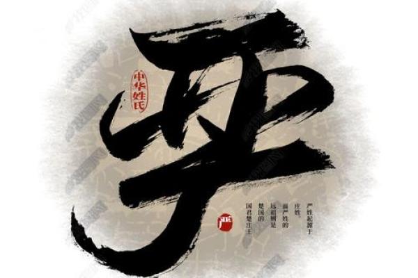 严姓女孩名字大全-严姓女孩起名字大全-严姓名字大全姓名