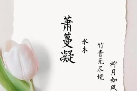 萧姓男孩名字大全-萧姓男孩起名字大全-萧姓名字大全姓名