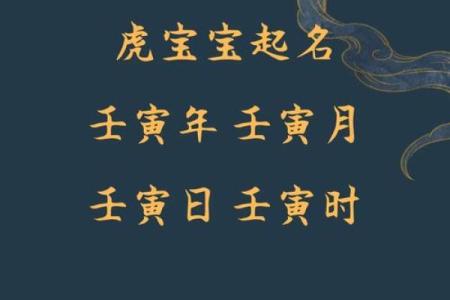 中午1点出生的属虎男孩如何起名，适合什么字姓名