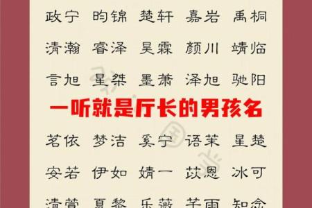 属蛇申时出生的男孩怎样取名好姓名