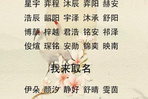 属狗卯时出生的男孩应该如何起名,宜用什么字姓名 属狗卯时出生的男孩应该如何起名,宜用什么字姓名