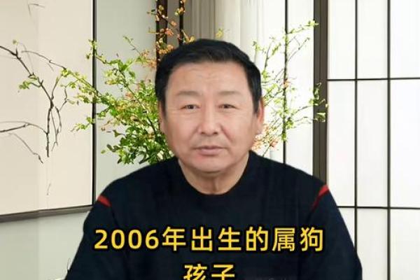 属狗卯时出生的男孩应该如何起名,宜用什么字姓名 属狗卯时出生的男孩应该如何起名,宜用什么字姓名