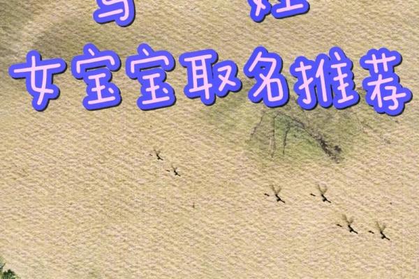 二月份出生属马的男孩该取什么名字姓名 二月份出生属马的男孩该取什么名字姓名