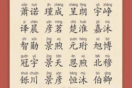 2019年5月12号寅时出生的男孩起名方法姓名