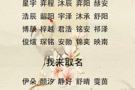 属狗卯时出生的男孩应该如何起名,宜用什么字姓名