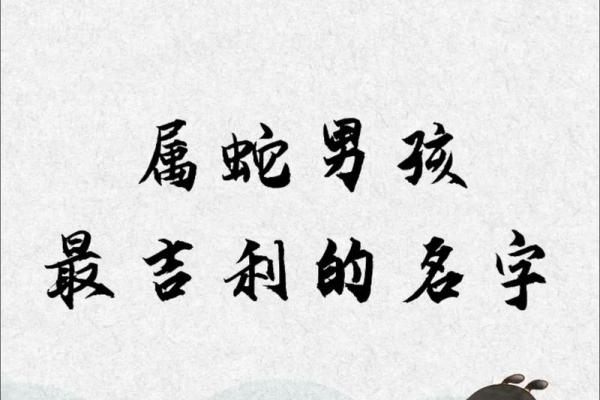 属蛇巳时出生的男孩应该如何起名,宜用什么字姓名 属蛇巳时出生的男孩应该如何起名,宜用什么字姓名