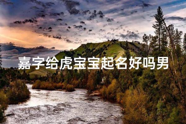 中午出生的属虎男孩如何起名,适合什么字姓名 中午出生的属虎男孩如何起名,适合什么字姓名