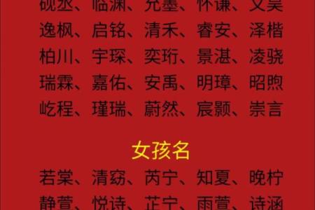 下午3点出生的属蛇男孩要怎样取名起名,用什么字姓名