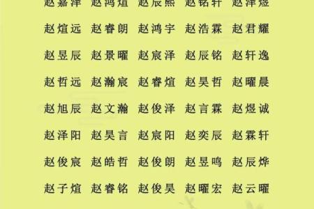 2019年4月23号寅时出生的男孩要怎么起名字姓名
