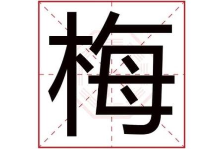 梅姓男孩名字大全-梅姓男孩起名字大全-梅姓名字大全姓名