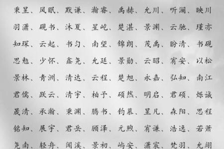 蓝姓男孩名字大全-蓝姓男孩起名字大全-蓝姓名字大全姓名