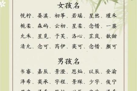 2021端午节出生的宝宝最好听响亮小名大全姓名