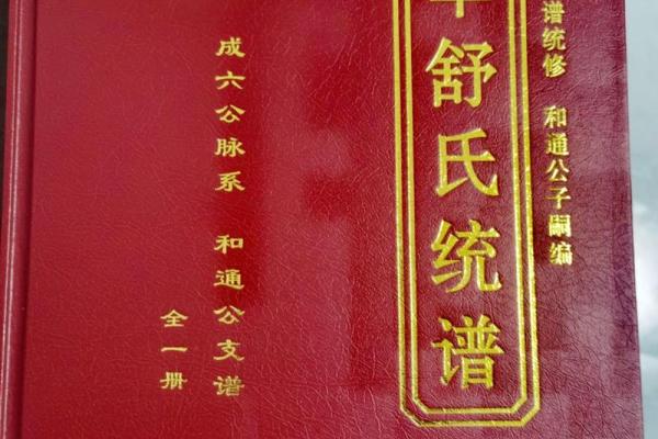 舒姓男孩名字大全-舒姓男孩起名字大全-舒姓名字大全姓名