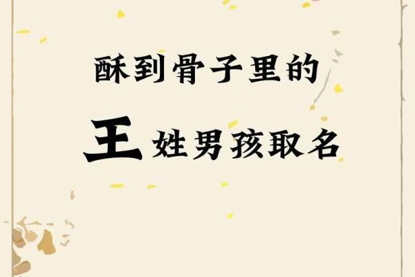 王姓男孩名字大全-王姓男孩起名字大全-王姓名字大全姓名