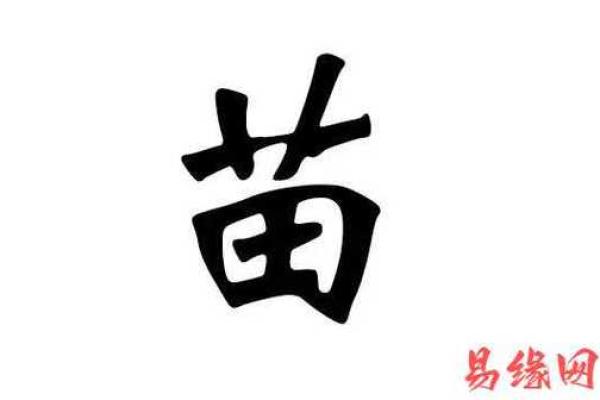 苗姓男孩名字大全-苗姓男孩起名字大全-苗姓名字大全姓名