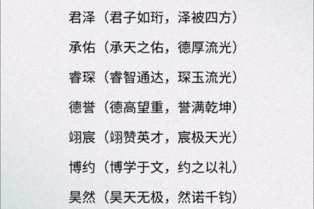 2019年3月25号寅时出生的男孩起名方法姓名