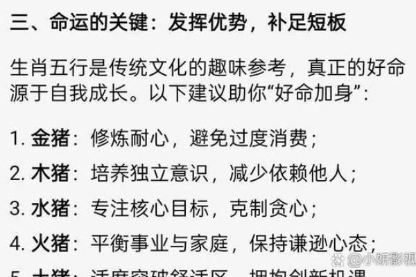 属猪卯时出生的男孩取什么名字,应该用什么字姓名 属猪卯时出生的男孩取什么名字,应该用什么字姓名