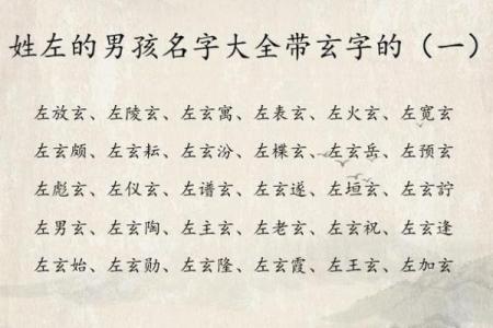 2019年4月16号寅时出生的男孩起名方法姓名