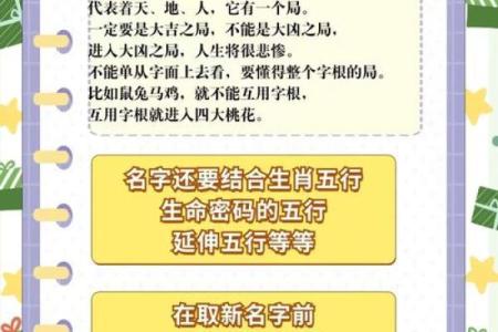 属猪卯时出生的男孩取什么名字，应该用什么字姓名