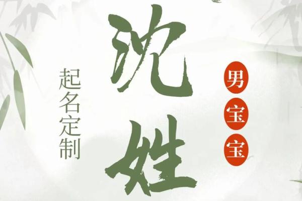 沈姓女孩名字大全-沈姓女孩起名字大全-沈姓名字大全姓名