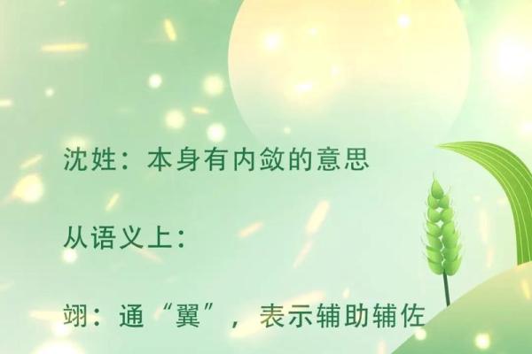 沈姓女孩名字大全-沈姓女孩起名字大全-沈姓名字大全姓名