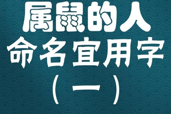 如何给下午3点出生的属鼠男孩起名字姓名 如何给下午3点出生的属鼠男孩起名字姓名