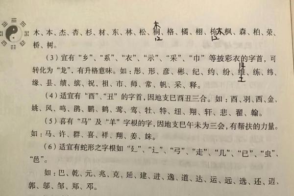 晚上10点出生的属蛇男孩要如何起名,宜用什么字姓名 晚上10点出生的属蛇男孩要如何起名,宜用什么字姓名