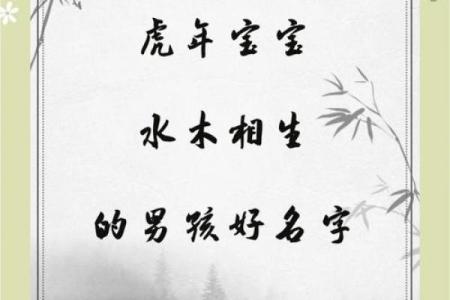 10月份出生的属虎男孩该怎么取名字姓名