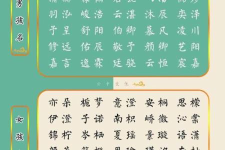 给属兔巳时出生的男孩起名宜用什么字姓名