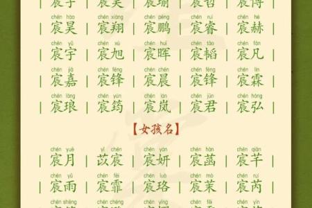 2019年4月1号辰时出生的男孩要怎么起名字姓名