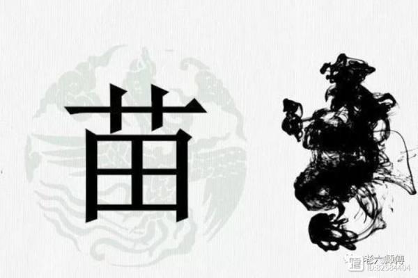 苗姓宗祠对联族谱和苗氏家族的字辈排行-姓名学-华易网姓名 苗姓宗祠对联族谱和苗氏家族的字辈排行-姓名学-华易网姓名