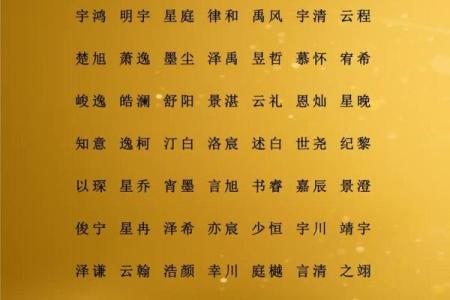 如何给凌晨5点出生的属鸡男孩取名字最合适姓名