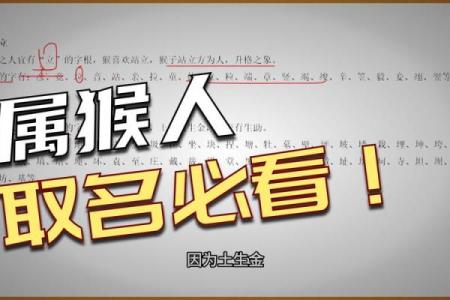 傍晚出生的属猴男孩如何起名，用什么字姓名