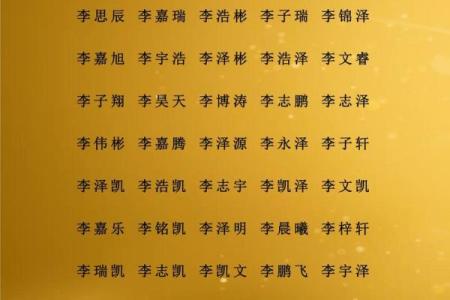 诸姓男孩名字大全-诸姓男孩起名字大全-诸姓名字大全姓名