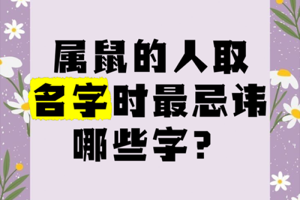 半夜出生的属鼠男孩起名用什么字最好姓名 半夜出生的属鼠男孩起名用什么字最好姓名